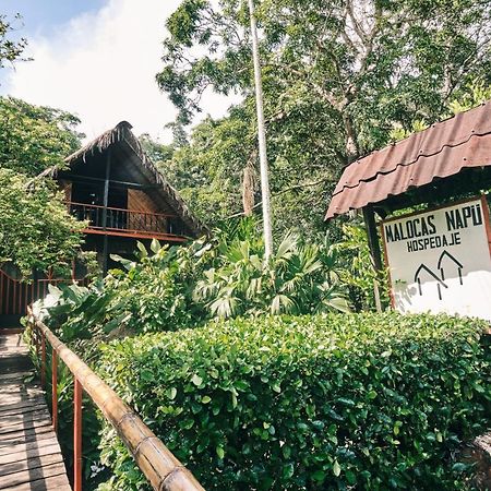 Maloka Napue - Ecodestinos Hotel Puerto Nariño Eksteriør billede