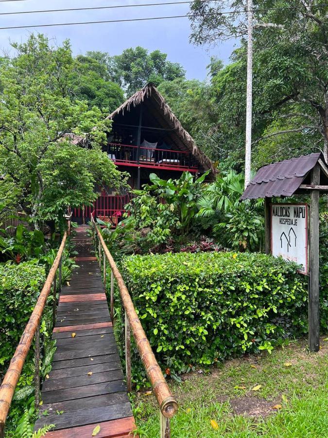 Maloka Napue - Ecodestinos Hotel Puerto Nariño Eksteriør billede