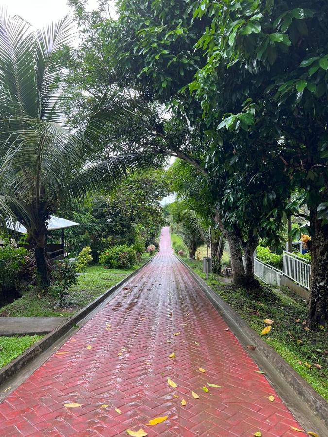 Maloka Napue - Ecodestinos Hotel Puerto Nariño Eksteriør billede